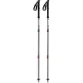 Arva Fuji Carbon 3 Parts Powerlock + Long Grip Spaserstokker