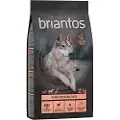 Briantos Adult Light/Sterilised kalkun og potet – KORNFRI - 2 x 12 kg