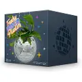 Mikamax Funky Disco Planter