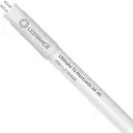 Ledvance LED-rør T5 Performance HE 849mm 1500lm 10W/840 (21W) HF