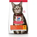 Hill's Pet Nutrition Adult Kylling - 2 x 15 kg