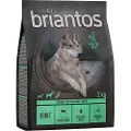 Briantos Adult lam og potet – KORNFRI - 1 kg