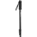 Walimex Pro WT-1003 Basic