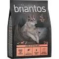 Briantos Adult Light/Sterilised kalkun og potet – KORNFRI - 1 kg