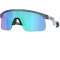 Oakley Resistor Solbriller For Barn