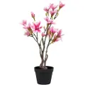 House Nordic House NordicMagnoliatreGrønnKunstige planter & blomsterFra Homeroom