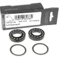 Campagnolo Kit Revision Hub Kranklager