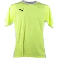 Puma Teamliga Kortarmet T-skjorte