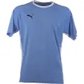 Puma Teamliga Kortarmet T-skjorte