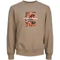 Jack & Jones Sequoia Collegegenser