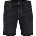 Jack & Jones Rick Original Am 600 Korte Jeans