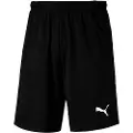 Puma Liga Training Shorts