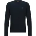 Hugo Boss Anion Genser