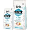 Brit Fresh Fish with Pumpkin, Adult (animal), Maxi (26 - 44 kg), Gresskar, Fisk, 2,5 kg, Glutenfri