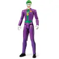 Spin Master Batman 30 cm figure asst.