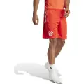 Adidas Fc Bayern Munich 23/24 Trening Shorts