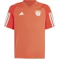 Adidas Fc Bayern Munich 23/24 Trening Junior T-skjorte Med Korte Ermer