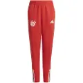 Adidas Fc Bayern Munich 23/24 Trening Junior Treningsbukse