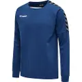 Hummel Authentic Training Collegegenser