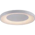Paul Neuhaus Taklampe hvit inkl. LED med fjernkontroll - Meidan