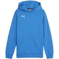 Puma Teamgoal Casuals Hettegenser