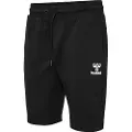 Hummel Icons Regular Shorts