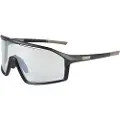 Endura Gabbro Ii Solbriller