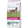 Eukanuba Euk DailyCare Sensitive Joints 12 kg