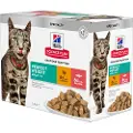 Hills Science Plan Adult 1-6 Perfect Weight - 48 x 85 g Kylling & laks