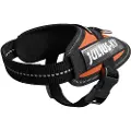 Julius-K9 K9 IDC sele, str.: Baby 1, UV orange, 29-36 cm