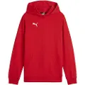 Puma Teamgoal Casuals Hettegenser