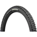 Teravail Warwick Light And Supple Tubeless 29´´ X 2.5 Mtb-dekk