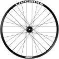Mavic Deemax Park 29´´ Int Mtb Bakhjul