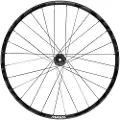 Mavic Deemax Dh 29´´ Int Boost Mtb Bakhjul