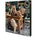 Trixie PREMIO julekalender for katter, 24,5 × 37 × 3,5 cm