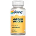 Solaray Adrenal Succes Kapsler 60 Enheter
