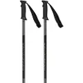 Rossignol Alpine skistaver Rossignol Tactic grå/svart