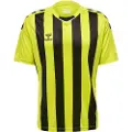Hummel Core Xk Striped Kortarmet T-skjorte