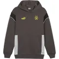 Puma Borussia Dortmund Football Archive Hettegenser