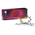 Philips Hue Festavia string lights 500LEDs