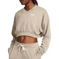 Under Armour Rival Terry Oversized Crop Collegegenser