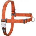 Red Dingo No-pull Hundesele