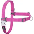 Red Dingo No-pull Hundesele
