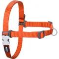 Red Dingo No-pull Hundesele