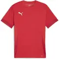 Puma teamGOAL, Voksen, Hankjønn, Rød, Monokromatisk, Fotball, M