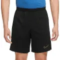Nike Drifit Academy 23 Shorts