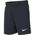 Nike Dri-fit Academy Pro 24 Shorts