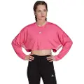 Adidas Hyglm Collegegenser