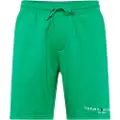 Tommy Hilfiger Small Logo Sports Shorts