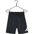 Adidas Train Essentials Logo Shorts
